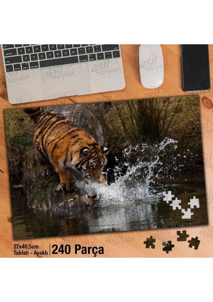 Asil Hobi Kaplan - Doğa - Vahşi Hayvan Yapboz -Ayak Destekli Çerçeveli 240 Parça Puzzle