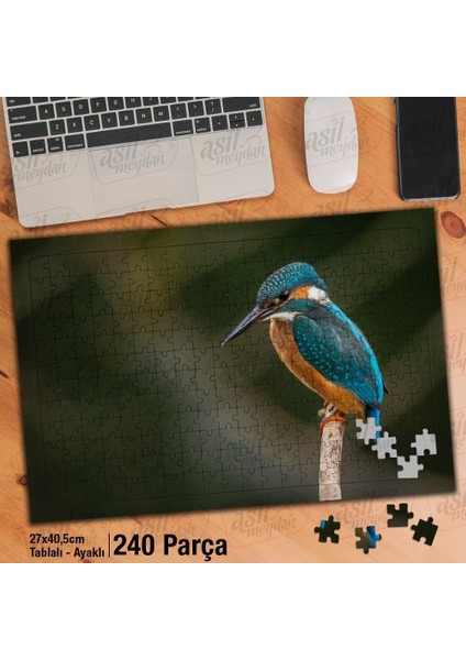 Asil Hobi Yalıçapkını - Kuş - Hayvan Yapboz -Ayak Destekli Çerçeveli 240 Parça Puzzle