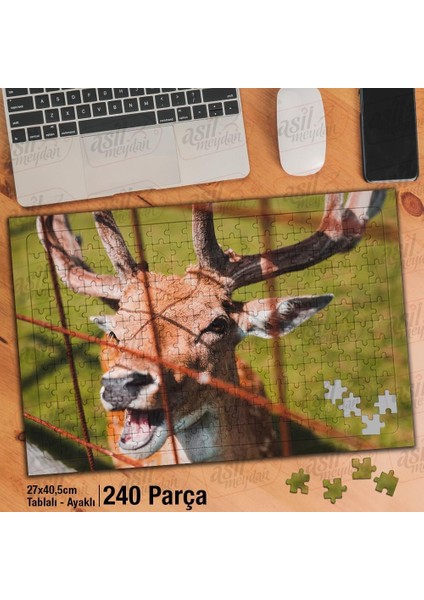 Asil Hobi Mutlu Geyik - Doğa - Hayvanat Bahçesi Yapboz -Ayak Destekli Çerçeveli 240 Parça Puzzle