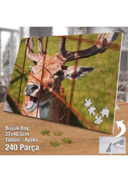 Asil Hobi Mutlu Geyik - Doğa - Hayvanat Bahçesi Yapboz -Ayak Destekli Çerçeveli 240 Parça Puzzle fiyatları