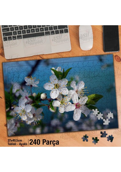 Asil Hobi Kiraz Ağacı - Kiraz Çiçeği Bahar -Doğa Yapboz -Ayak Destekli Çerçeveli 240 Parça Puzzle