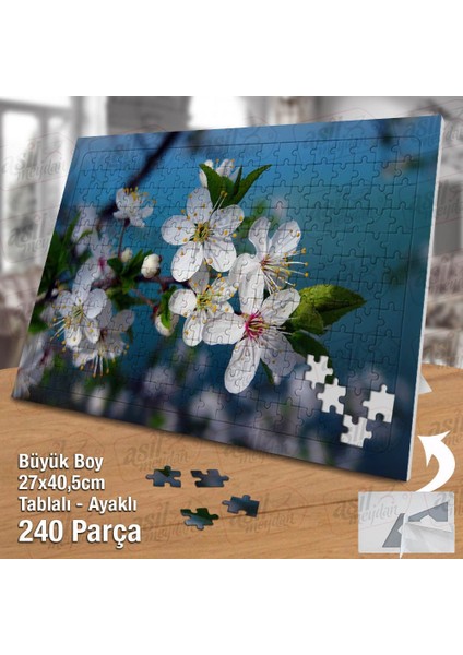 Asil Hobi Kiraz Ağacı - Kiraz Çiçeği Bahar -Doğa Yapboz -Ayak Destekli Çerçeveli 240 Parça Puzzle fiyatları