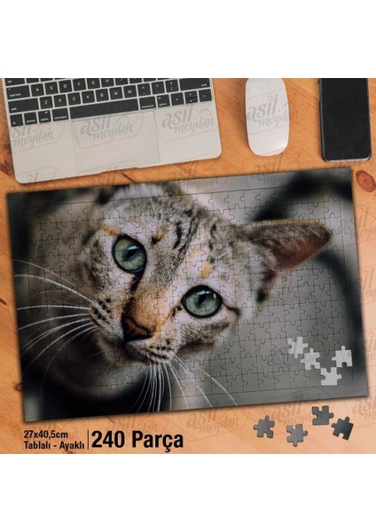 Asil Hobi Yeşil Gözlü Kedi - Sevimli Hayvan - Masum Yapboz -Ayak Destekli Çerçeveli 240 Parça Puzzle