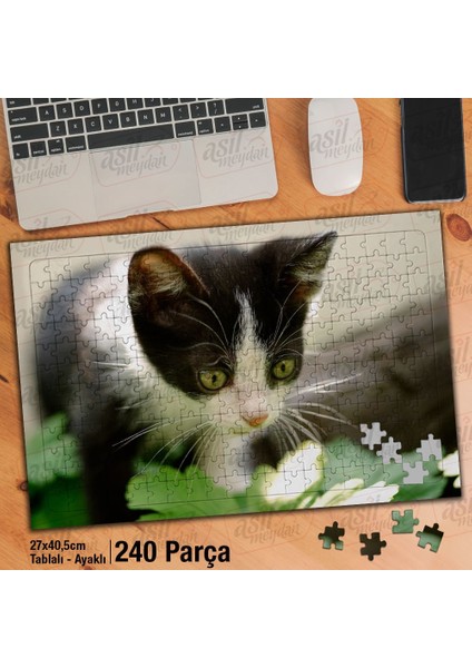 Asil Hobi - Sevimli Yavru Kedi - Hayvan Yapboz - Ayak Destekli 240 Parça Puzzle
