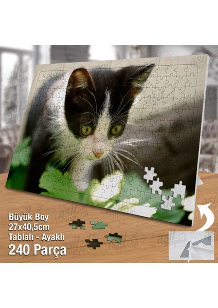 Asil Hobi - Sevimli Yavru Kedi - Hayvan Yapboz - Ayak Destekli 240 Parça Puzzle fiyatları