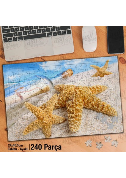 Asil Hobi Deniz Yıldızı - Şişe - Kumsal - Deniz Yapboz-Ayak Destekli Çerçeveli 240 Parça Puzzle
