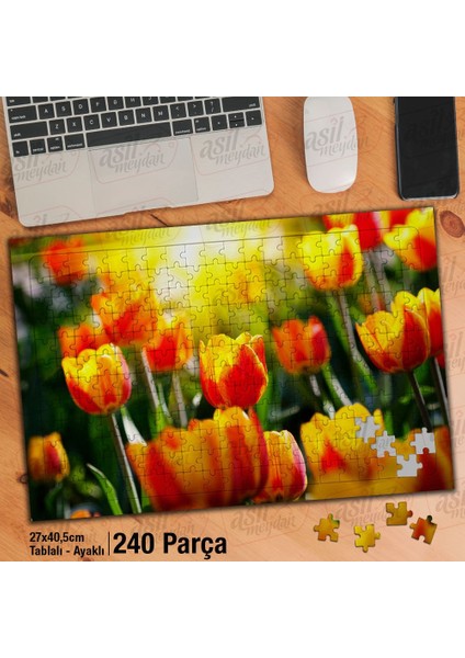Asil Hobi Sarı - Kırmızı Laleler -Çiçekler -Peyzaj Yapboz - Ayak Destekli Çerçeveli 240 Parça Puzzle