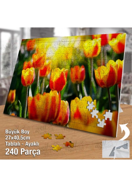 Asil Hobi Sarı - Kırmızı Laleler -Çiçekler -Peyzaj Yapboz - Ayak Destekli Çerçeveli 240 Parça Puzzle fiyatları