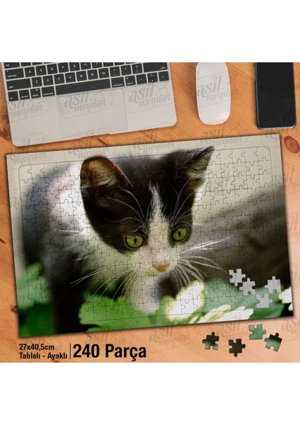 Asil Hobi Sevimli Yavru Kedi - Hayvan - Tabiat Yapboz-Ayak Destekli Çerçeveli 240 Parça Puzzle