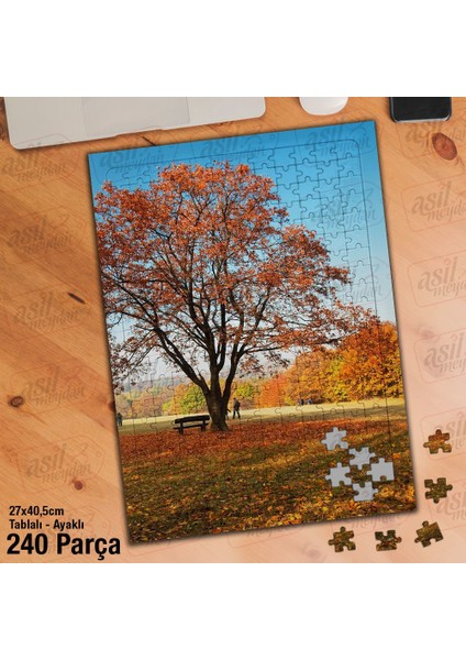 Asil Hobi -Sonbahar - Sararmış Yapraklar - Ağaç - Doğa - Yapboz - Ayak Destekli 240 Parça Puzzle