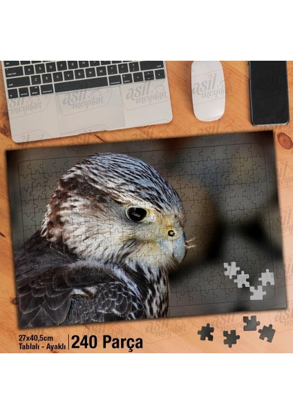 Asil Hobi Şahin - Kartal - Yırtıcı Kuş -Vahşi Yaşam Yapboz -Ayak Destekli Çerçeveli 240 Parça Puzzle