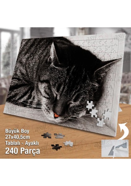 Asil Hobi Uyuyan Sevimili Kedi - Cat - Masum-Hayvan Yapboz -Ayak Destekli Çerçeveli 240 Parça Puzzle