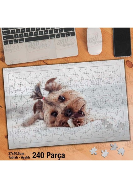 Asil Hobi Yorkshire - Terrier - Süs Köpeği -Hayvan Yapboz -Ayak Destekli Çerçeveli 240 Parça Puzzle