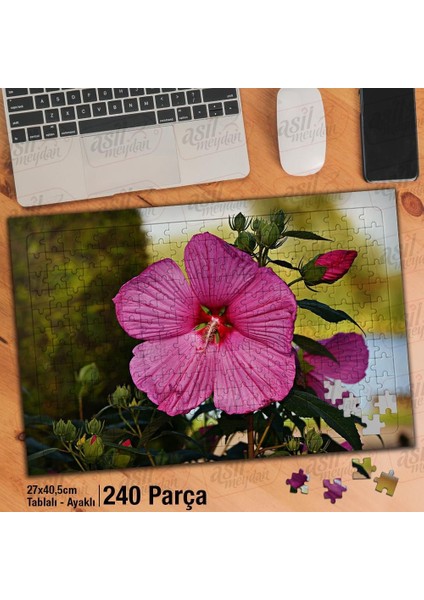 Asil Hobi Ebegümeci - Pembe Çiçek - Bitki - Doğa Yapboz -Ayak Destekli Çerçeveli 240 Parça Puzzle