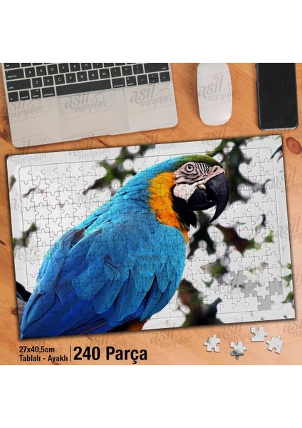 Asil Hobi Papağan - Kuş - Amazon - Tabiat - Hayvan Yapboz -Ayak Destekli Çerçeveli 240 Parça Puzzle