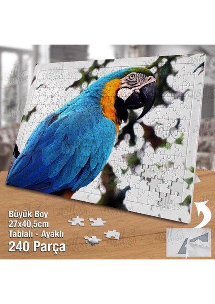 Asil Hobi Papağan - Kuş - Amazon - Tabiat - Hayvan Yapboz -Ayak Destekli Çerçeveli 240 Parça Puzzle fiyatları