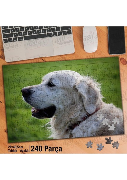 Asil Hobi Retriever-Sevimli -Mutlu - Köpek -Hayvan Yapboz -Ayak Destekli Çerçeveli 240 Parça Puzzle