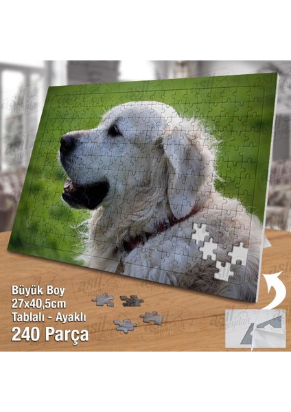 Asil Hobi Retriever-Sevimli -Mutlu - Köpek -Hayvan Yapboz -Ayak Destekli Çerçeveli 240 Parça Puzzle fiyatları