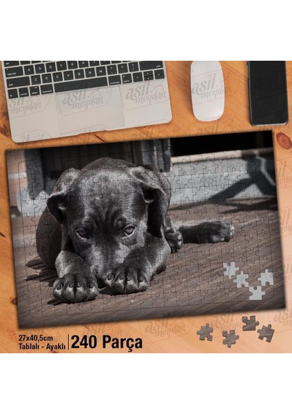 Asil Hobi Siyah Tüy - Utangaç Köpek -Sevimli Hayvan Yapboz -Ayak Destekli Çerçeveli 240 Parça Puzzle