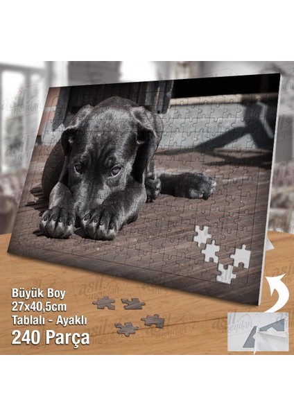 Asil Hobi Siyah Tüy - Utangaç Köpek -Sevimli Hayvan Yapboz -Ayak Destekli Çerçeveli 240 Parça Puzzle fiyatları