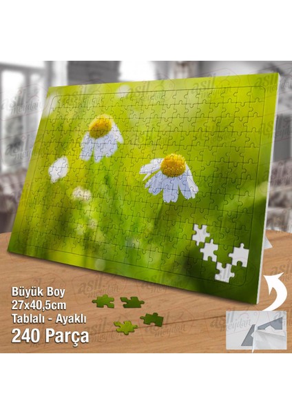 Asil Hobi - Beyaz Papatyalar - Kır Çiçeği - Doğa - Naturel - Yapboz - Ayak Destekli 240 Parça Puzzle