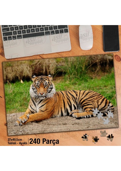 Asil Hobi Kaplan - Vahşi Yaşam - Hayvan - Amazon Yapboz-Ayak Destekli Çerçeveli 240 Parça Puzzle