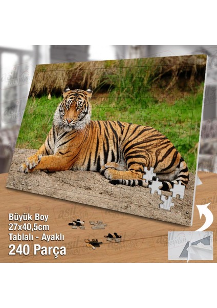 Asil Hobi Kaplan - Vahşi Yaşam - Hayvan - Amazon Yapboz-Ayak Destekli Çerçeveli 240 Parça Puzzle