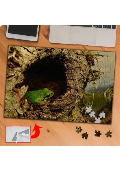 Ağaç Oyuğundaki Kurbağa 240 Parça Puzzle Yapboz TABLO-P091