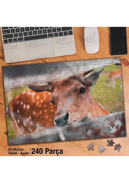 Asil Hobi Tahta - Sevimli Dağ Geyiği- Hayvan Yapboz -Ayak Destekli Çerçeveli 240 Parça Puzzle