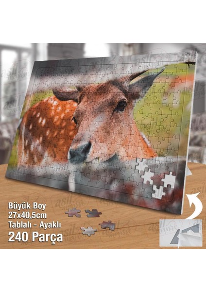 Asil Hobi Tahta - Sevimli Dağ Geyiği- Hayvan Yapboz -Ayak Destekli Çerçeveli 240 Parça Puzzle fiyatları