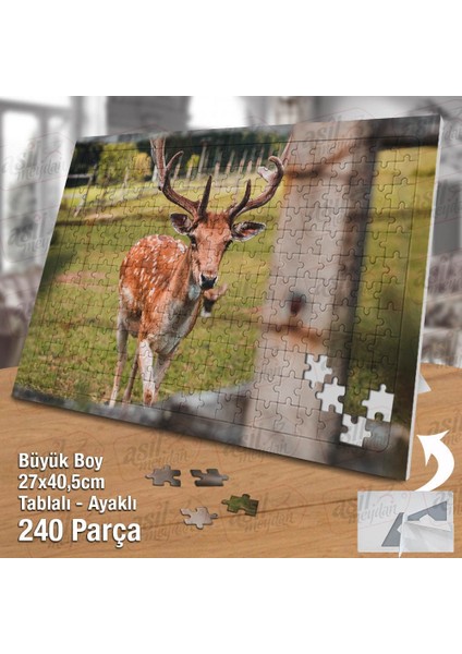 Asil Hobi Yabani Hayvan - Geyik - Doğa -Tabiat Yapboz -Ayak Destekli Çerçeveli 240 Parça Puzzle fiyatları