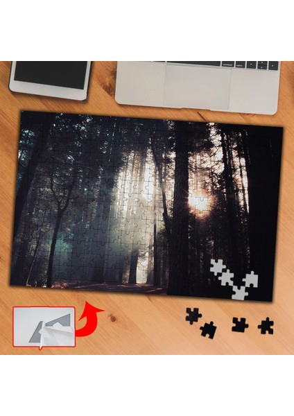 Orman, Güneş Işığı, Ağaçlar 240 Parça Puzzle Yapboz TABLO-A0331