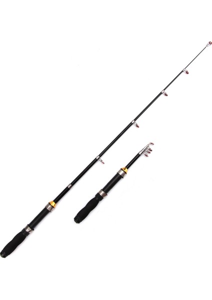 Taşınabilir Teleskopik Sea Fishing Rod, Genişletilmiş Uzunluk: 2.3m, Siyah Boru Tipi Reel Koltuk (Yurt Dışından) fiyatları