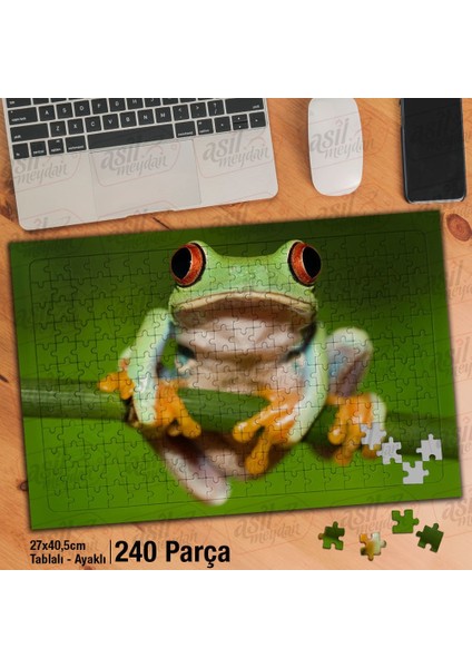 Asil Hobi Kurbağa - Vahşi Yaşam - Hayvan Yapboz-Ayak Destekli Çerçeveli 240 Parça Puzzle