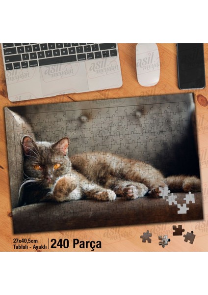 Asil Hobi Kahverengi Gözlü Kedi - Sevimli Hayvan Yapboz - Ayak Destekli Çerçeveli 240 Parça Puzzle