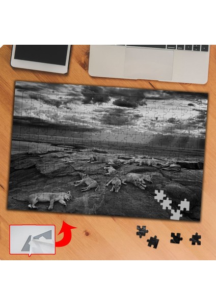Kayalıklarda Dinlenen Aslanlar 240 Parça Puzzle Yapboz TABLO-P007