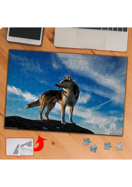 Yabani Kurrt Köpeği 240 Parça Puzzle Yapboz TABLO-P034