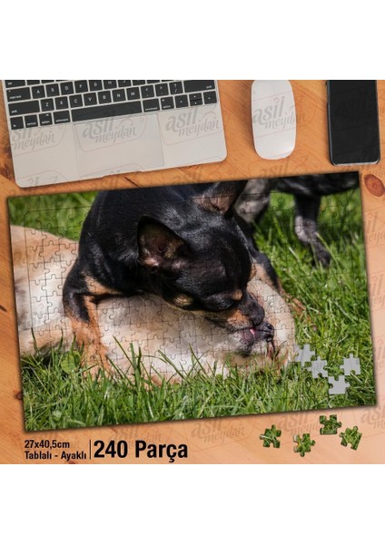 Asil Hobi Chihuahua - Sevimli Köpekler -Oyun -Çimen Yapboz -Ayak Destekli Çerçeveli 240 Parça Puzzle