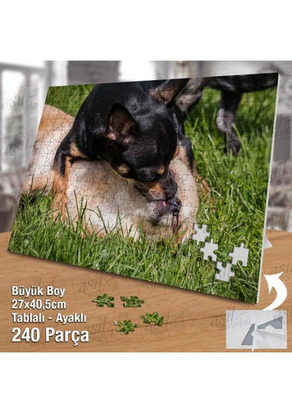 Asil Hobi Chihuahua - Sevimli Köpekler -Oyun -Çimen Yapboz -Ayak Destekli Çerçeveli 240 Parça Puzzle fiyatları