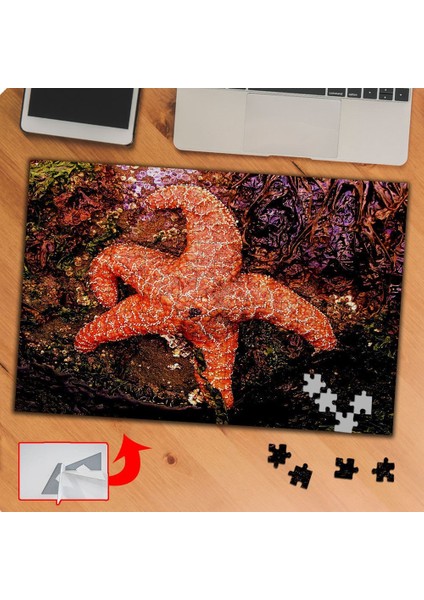 Deniz Yıldızı 240 Parça Puzzle Yapboz TABLO-P0133