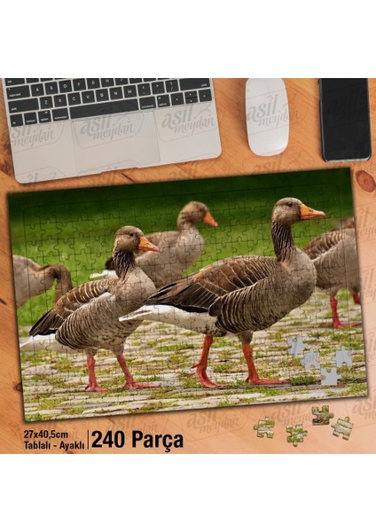 Asil Hobi Ördek Topluluğu - Kaz - Doğa -Hayvan Yapboz -Ayak Destekli Çerçeveli 240 Parça Puzzle