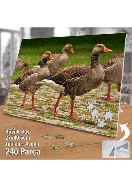 Asil Hobi Ördek Topluluğu - Kaz - Doğa -Hayvan Yapboz -Ayak Destekli Çerçeveli 240 Parça Puzzle fiyatları