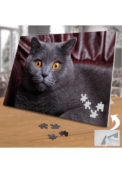 Scottish Sevimli Kedicik 240 Parça Puzzle YAPBOZ-19706418