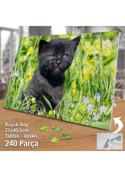 Asil Hobi Siyah Tüylü Mavi Gözlü Yavru Kedi - Hayvan Yapboz-Ayak Destekli Çerçeveli 240 Parça Puzzle fiyatları