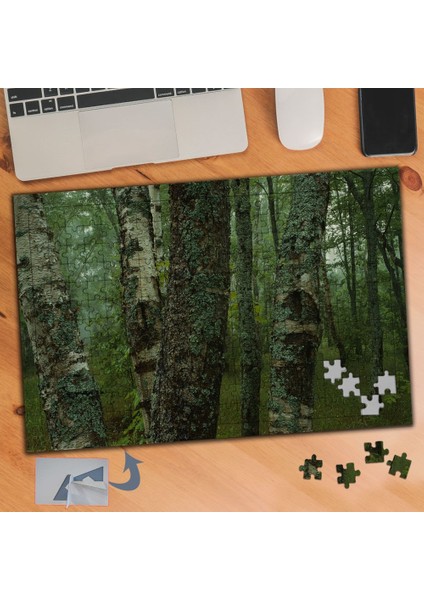 Yeşil Ormanda Ağaç Gövdesi 240 Parça Puzzle Yapboz TABLO-776