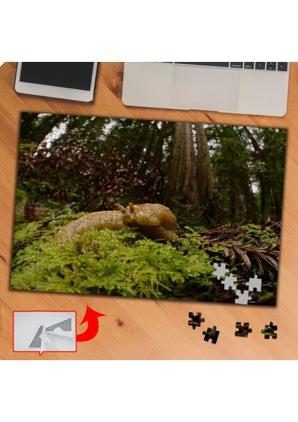 Tropikal Ormanda Sürüngen Sülük 240 Parça Puzzle Yapboz TABLO-P010