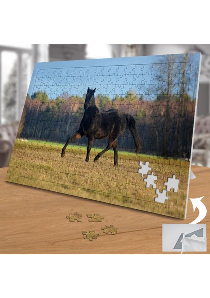 Siyah Asil At 240 Parça Puzzle Yapboz TABLO-100557109