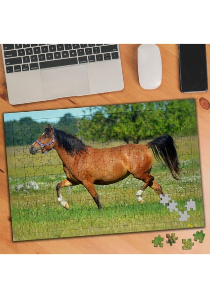 Siyah Yeleli Asil At 240 Parça Puzzle Yapboz TABLO-100836408