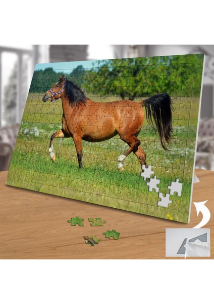 Siyah Yeleli Asil At 240 Parça Puzzle Yapboz TABLO-100836408 fiyatları