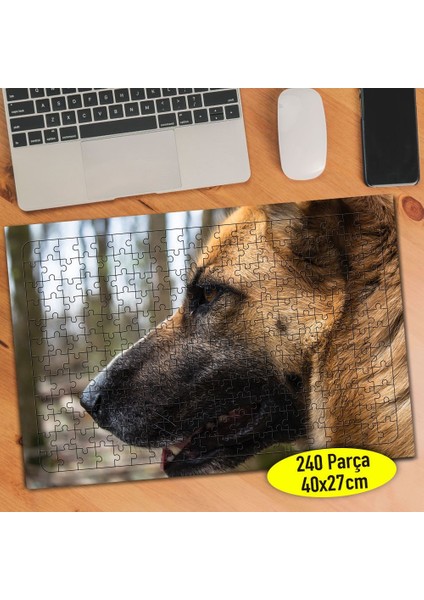 Ormanda Sevimli Köpek 240 Parça Puzzle Yapboz TABLO-112475391